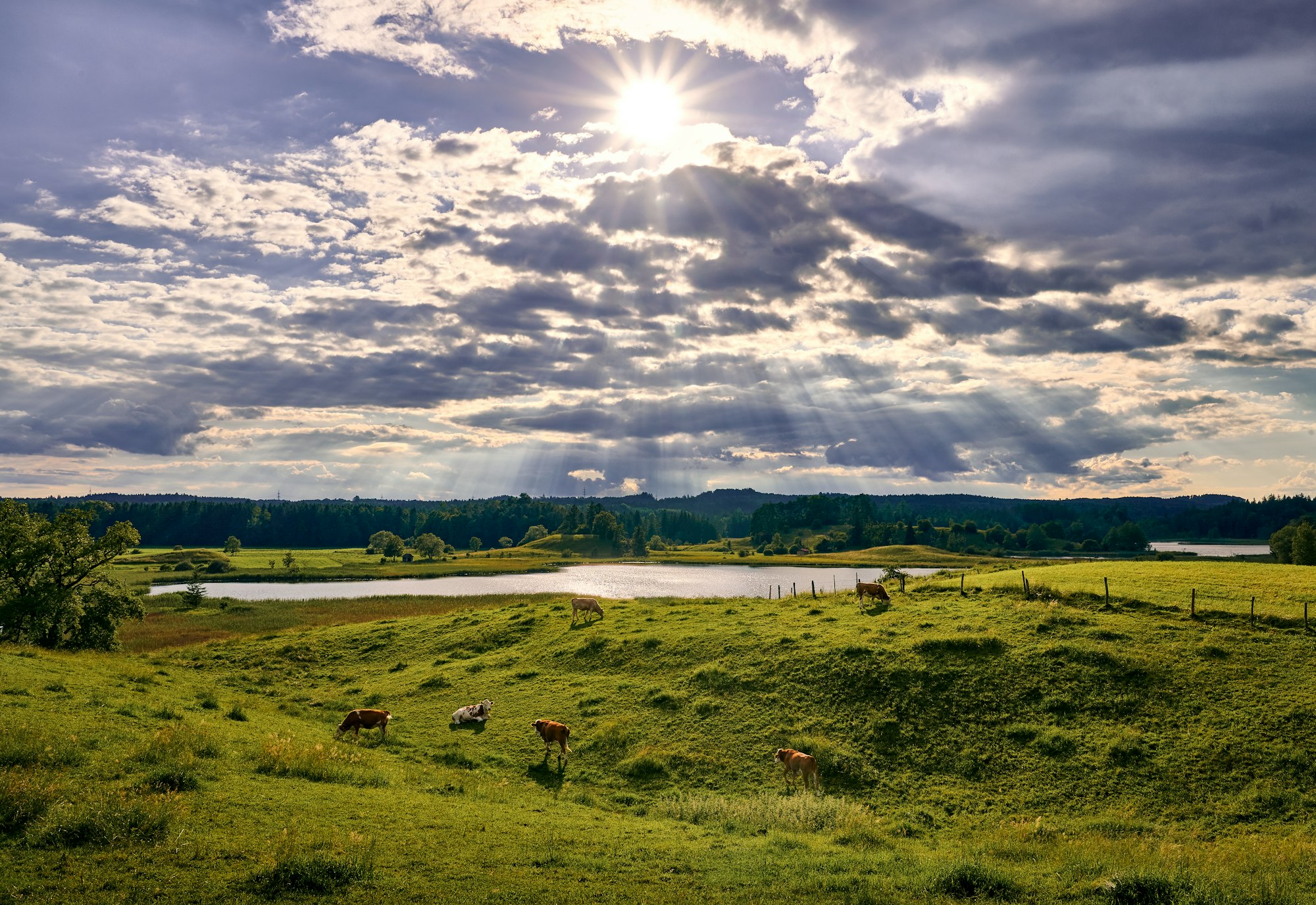 Ländliche Landschaft mit Wiese, Weiher und Wolkenhimmel